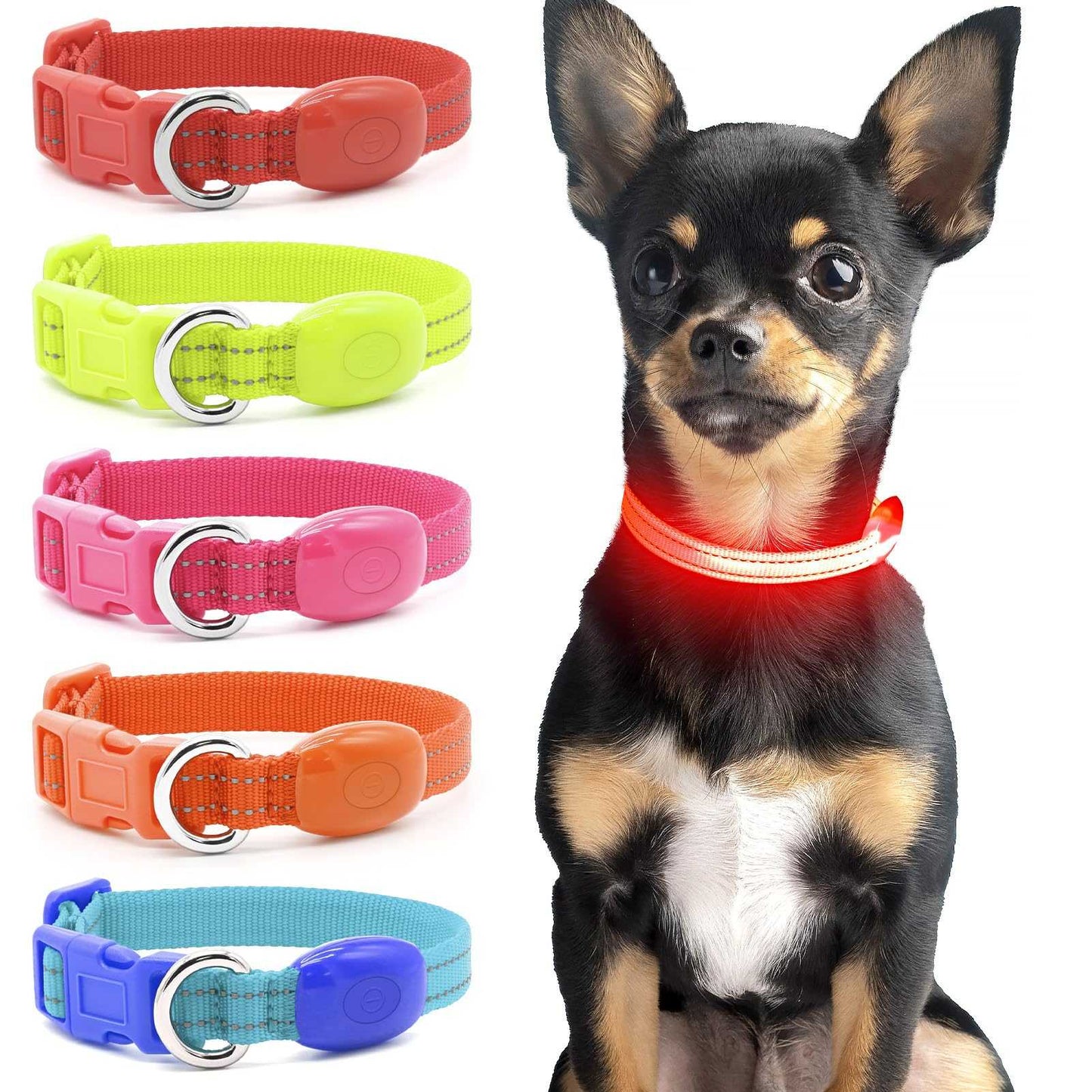 LED Dog Collar