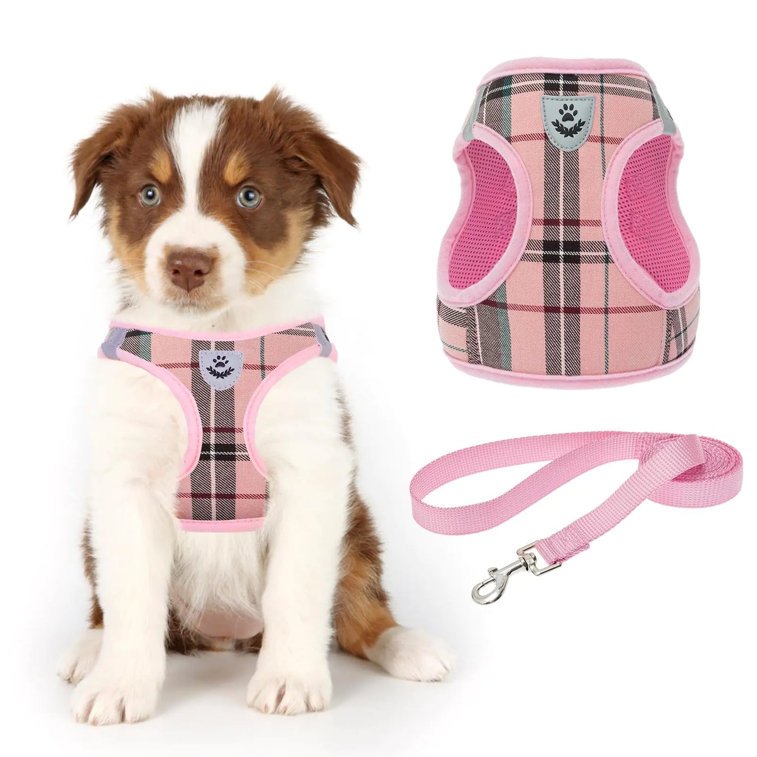 Pet Harness