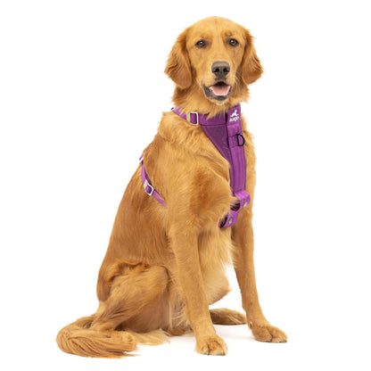 Kurgo Tru Fit Car Safety Harness
