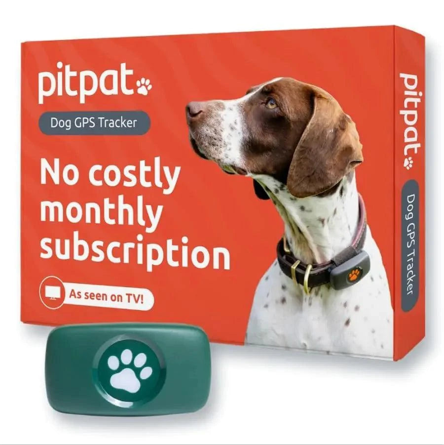 PitPat GPS Tracker for dogs on collar, waterproof, no subscription, satellite tracking, green device