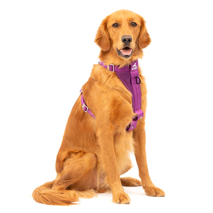 Kurgo Enhanced Strength Tru-Fit Smart Dog Harness in Deep Violet with crash-tested car safety and steel nesting buckles