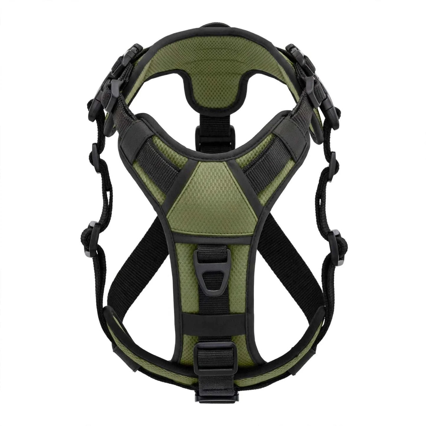 Large dog wearing AUROTH escape-proof dog harness with adjustable straps and reflective stitching