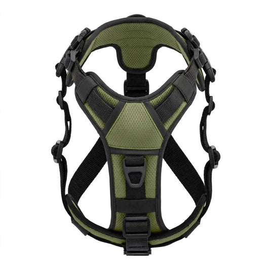 Large dog wearing AUROTH escape-proof dog harness with adjustable straps and reflective stitching
