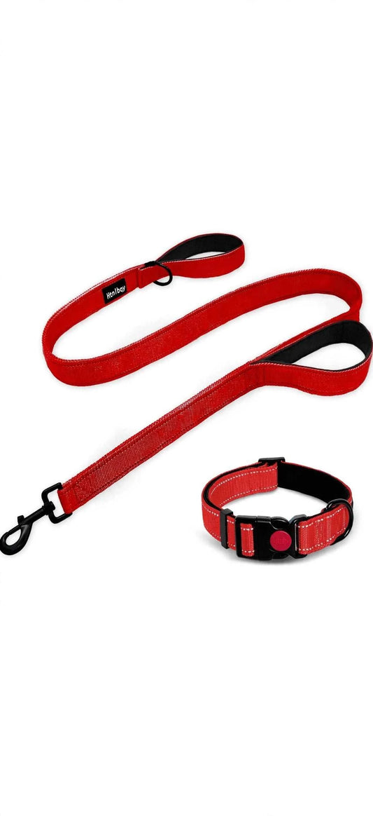 Heavy duty reflective dog leash with padded handle and swivel metal hook for large dogs
