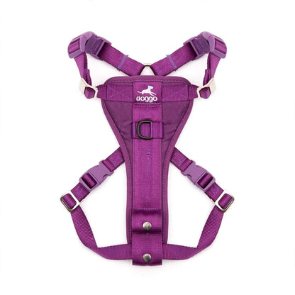 Kurgo Tru Fit car safety harness with durable steel buckles and crash tested seat belt tether for dogs up to 75 lbs
