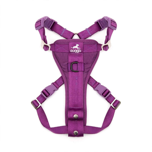 Kurgo Tru Fit car safety harness with durable steel buckles and crash tested seat belt tether for dogs up to 75 lbs