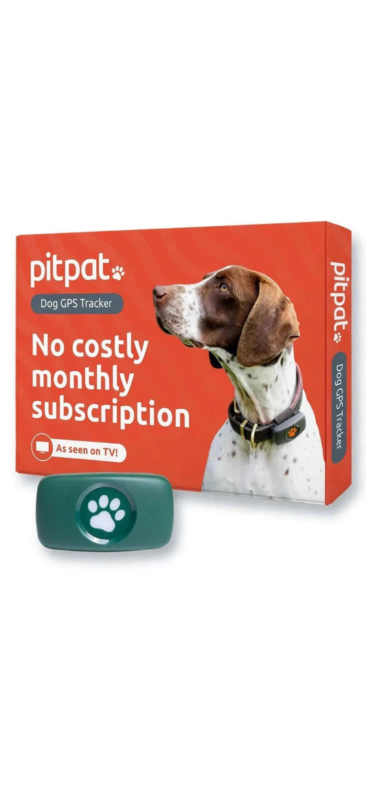 PitPat GPS Tracker device on a dog collar showing real-time location on a smartphone screen