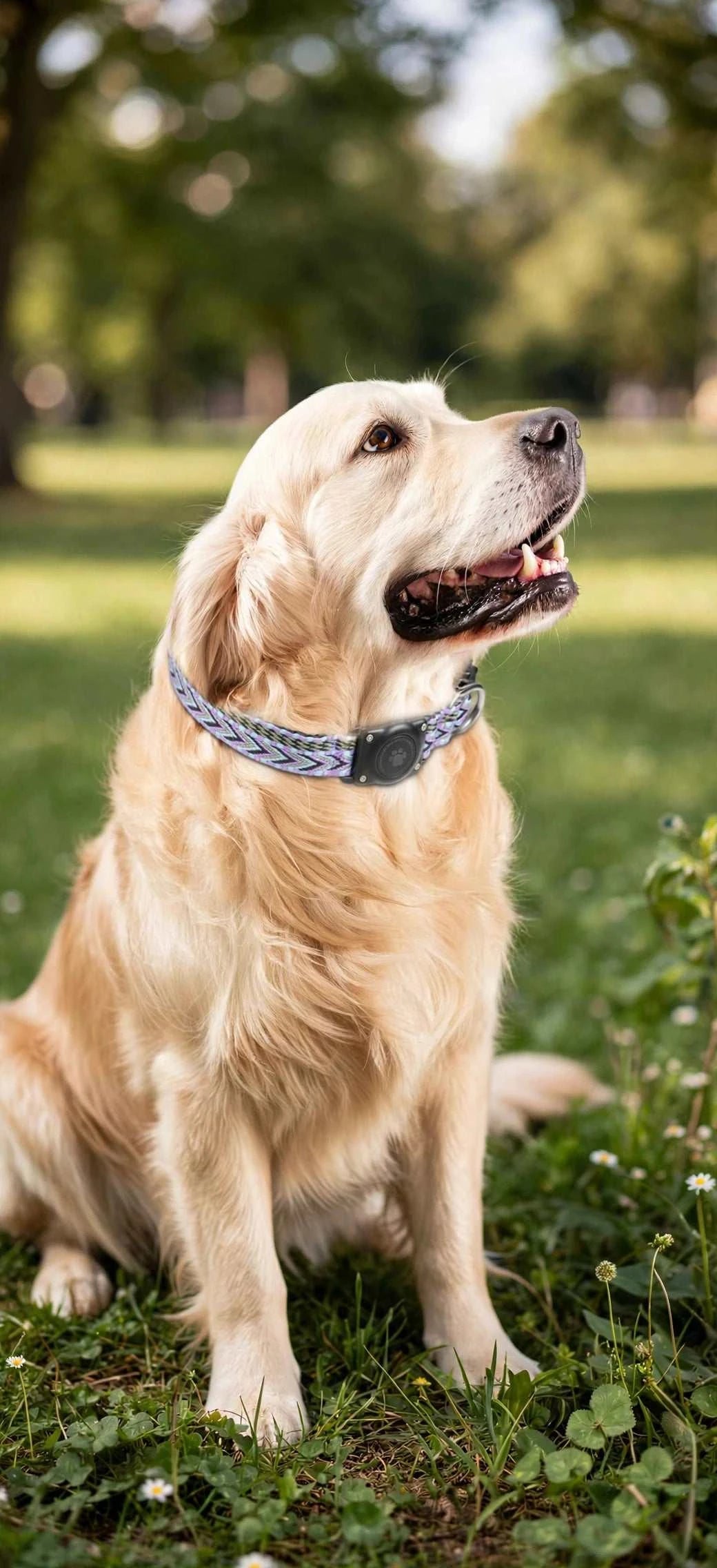 Waterproof AirTag Dog Collar
