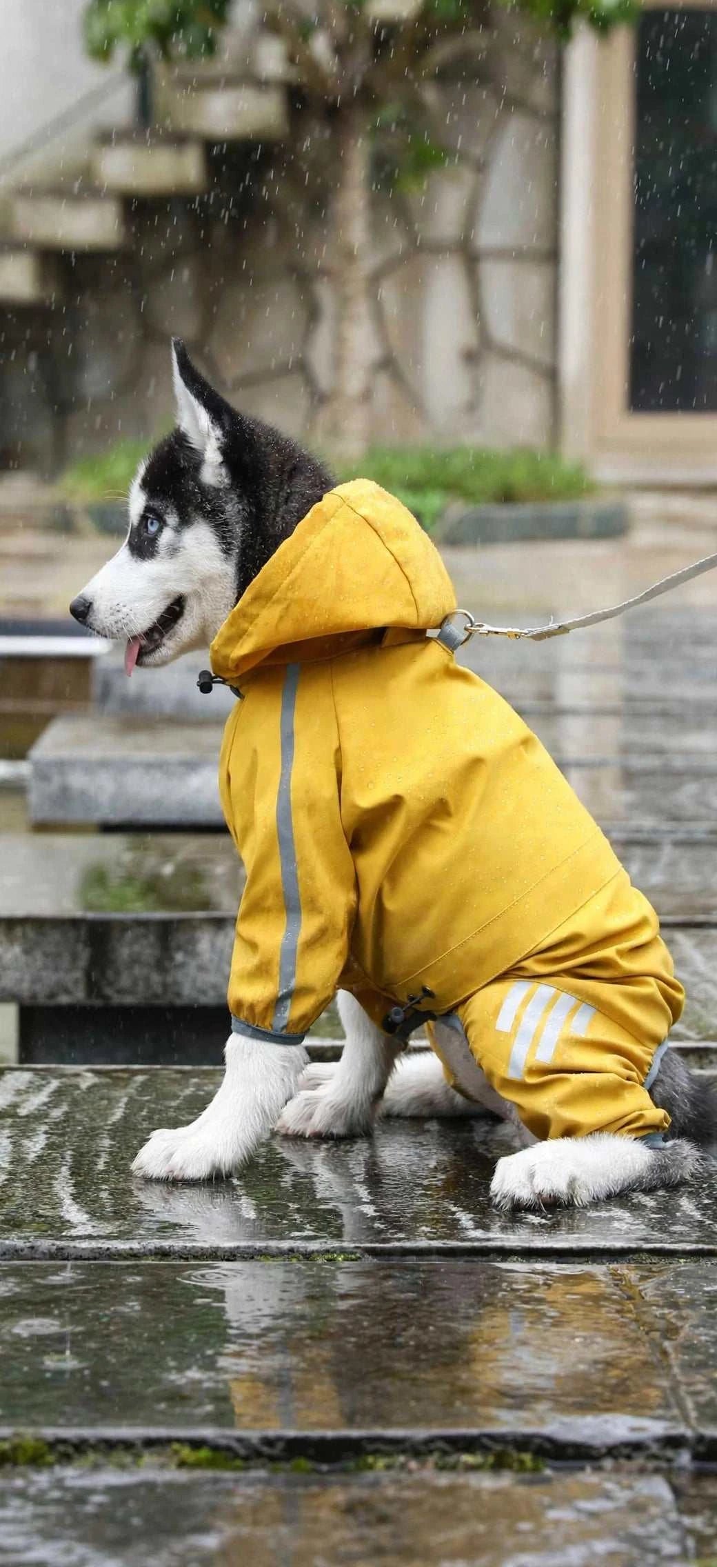 Reflective Dog Raincoat