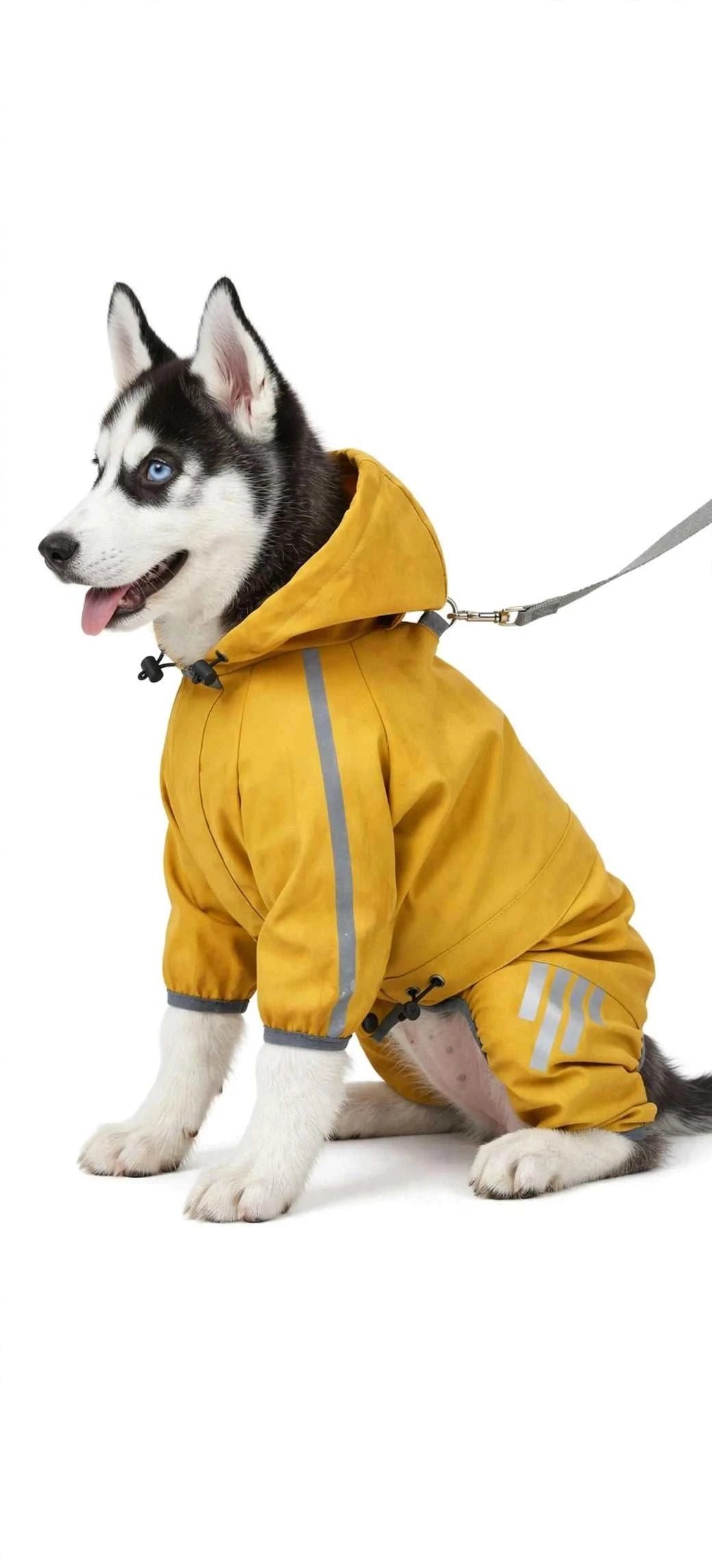 DogHartt dog raincoat with reflective strips, leash hole, water-resistant material, and adjustable straps for small dogs