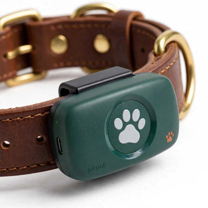 PitPat GPS Dog Tracker