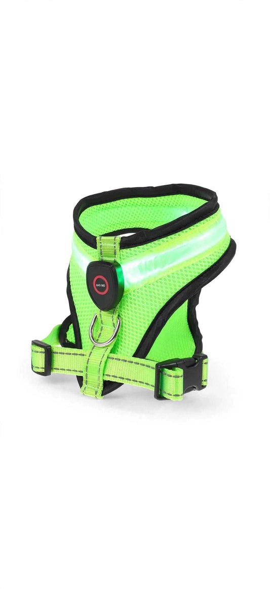 Step-in Air Dog LED Harness with rechargeable lights and secure clip buckle for nighttime safety
