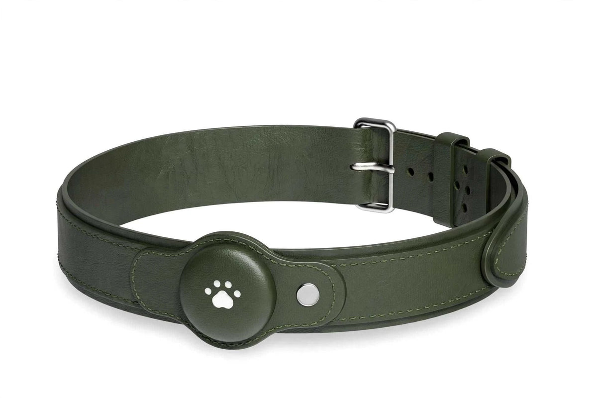 2 in 1 GPS dog tracker collar with live tracking, waterproof design, and app integration for pet location and activity monitoring