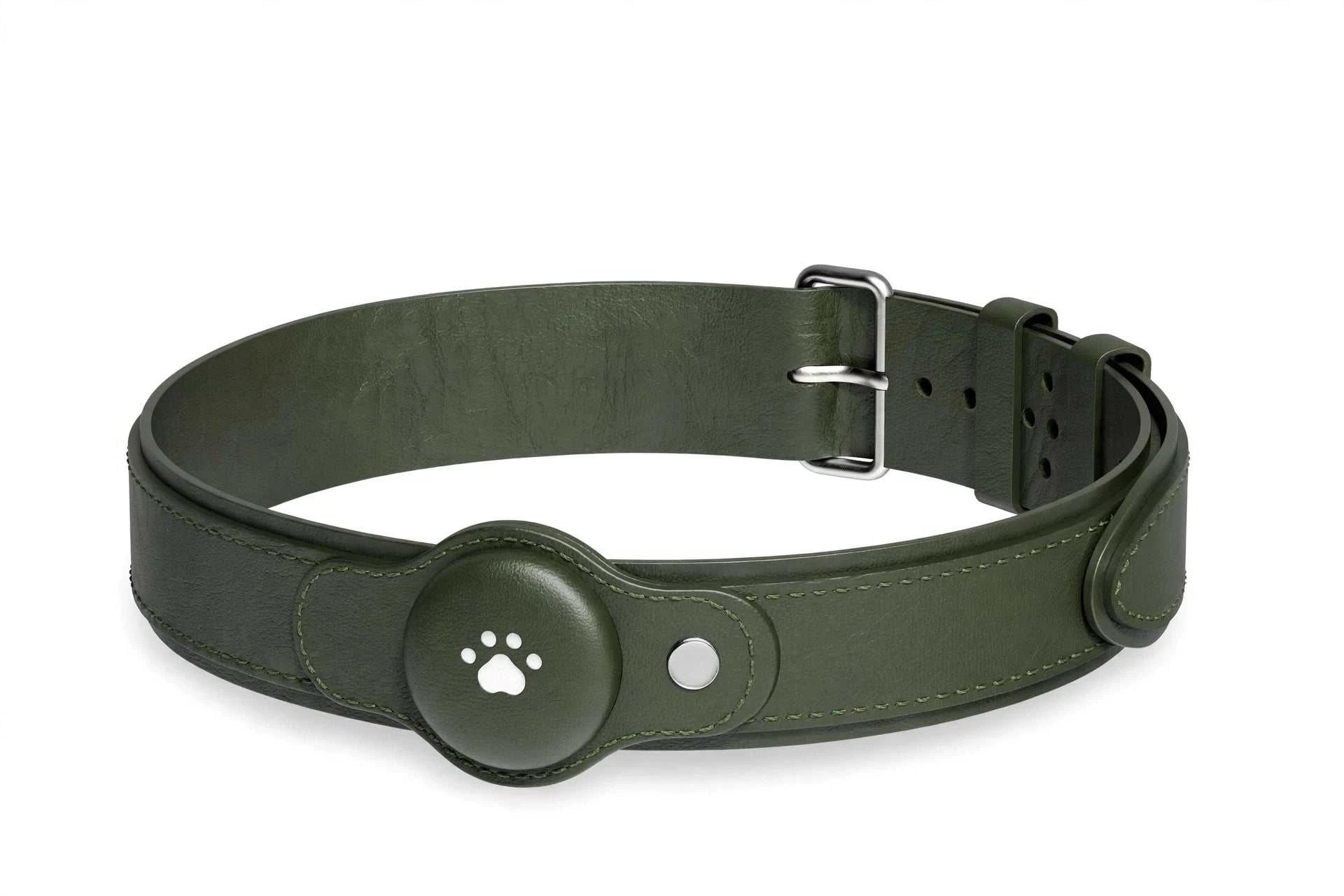2 in 1 GPS dog tracker collar with live tracking, waterproof design, and app integration for pet location and activity monitoring