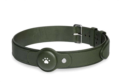 2 in 1 GPS dog tracker collar with live tracking, waterproof design, and app integration for pet location and activity monitoring