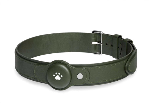 2 in 1 GPS dog tracker collar with live tracking, waterproof design, and app integration for pet location and activity monitoring