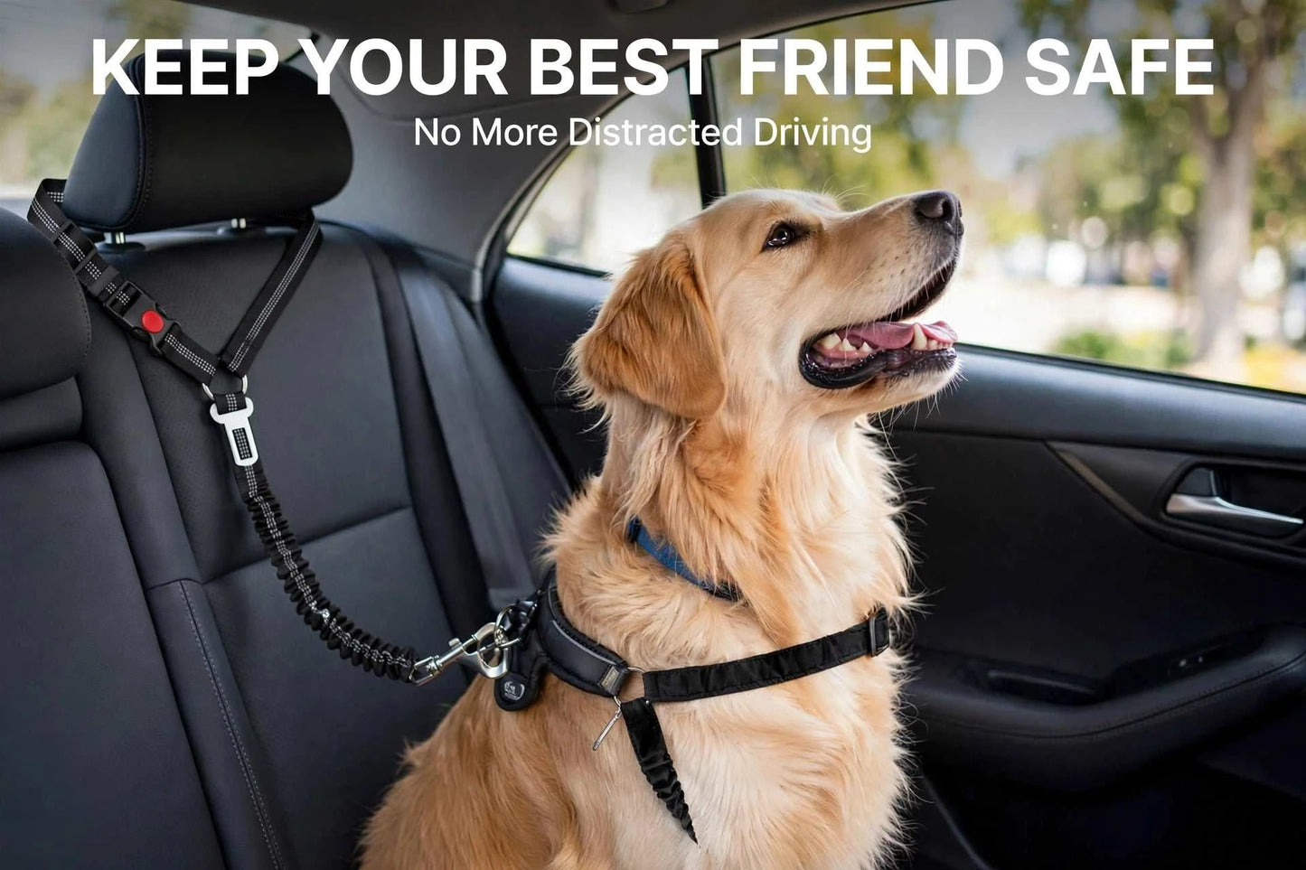 3 in 1 Dog Car Seat Belt (2 Pack)