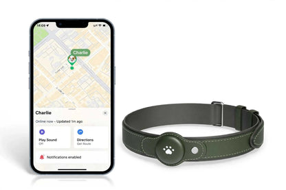 2 in 1 GPS Dog Tracker Collar